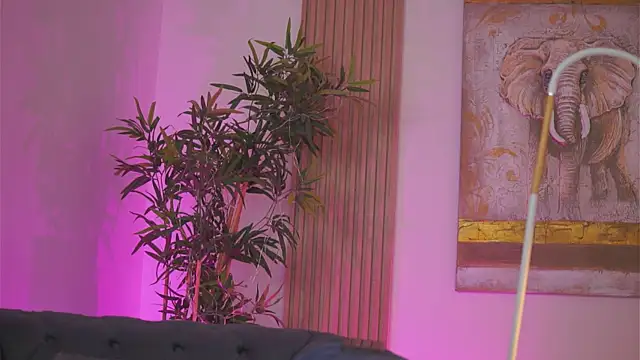 Chatroom XXX en direct de Aisha_Bee