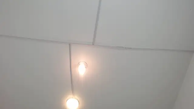PhillipCox live XXX chat