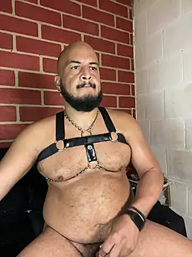 Chat XXX en directo de the_master_foal_