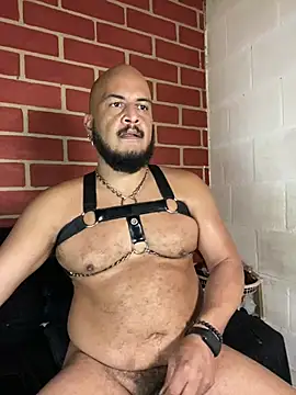 Chat +18 de the_master_foal_ ao vivo