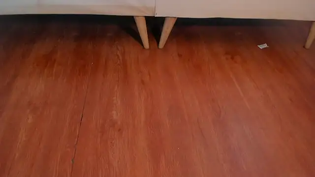 dani_rioss 라이브 XXX 채팅
