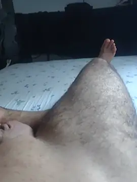 Show de Ricardosafadocassdo na webcam
