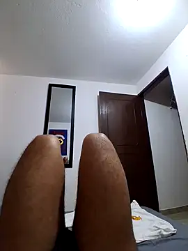Show de webcam de prototipoA45