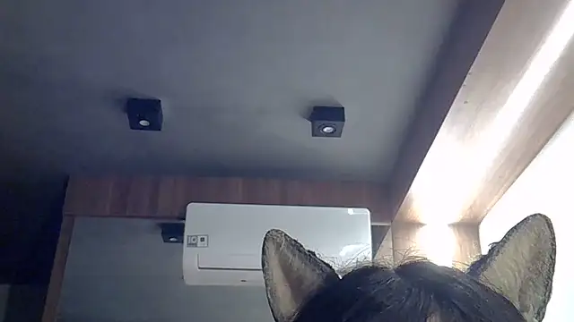 Chat +18 de SkinnyKitten ao vivo