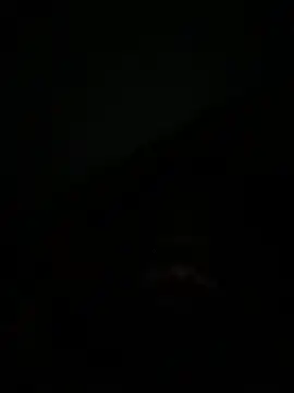 ShaniNsula2026's Live XXX Chat