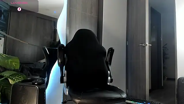 Dimitri_Bass Live XXX-Chat