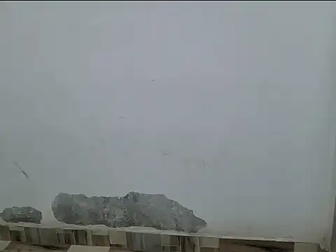 Živý XXX chat pirtisha
