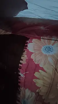 IMBADBOY4U 即時 XXX 聊天