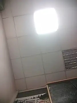 Lana-murr's Live XXX Chat