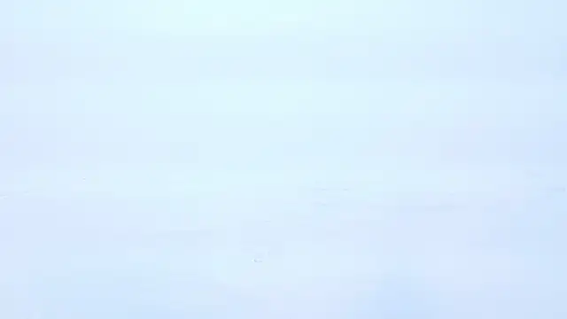 Chat +18 de Soficabrera ao vivo