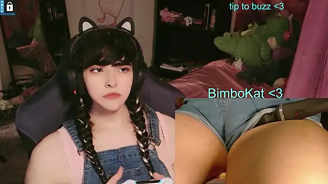 BimboCat élő XXX-chatje