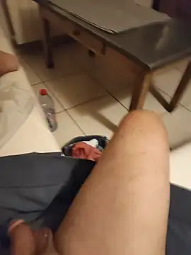 Corref Webcam-Show