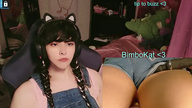 BimboCat Live XXX-chat