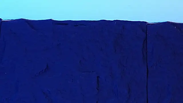 LiamDeep 现场XXX聊天