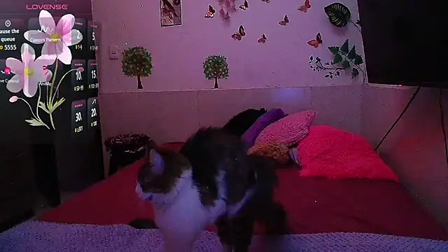 emily_cooper_t 라이브 XXX 채팅