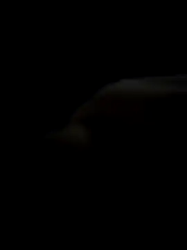 Magrinsexnovin69 webkamerás műsora