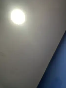 stevo170t Show Webcam