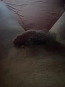 Show de webcam de Wild_unterwegs