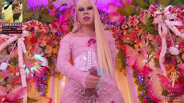 SpicySluts' Live XXX Chat