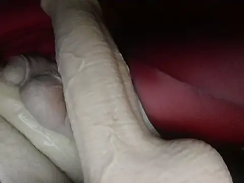 Czat XXX na żywo – assholexpress