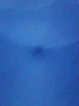 Chat XXX ao vivo de tarra122