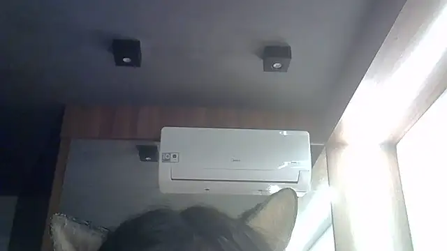 SkinnyKitten's Live XXX Chat