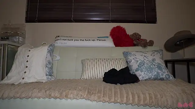 baedot Show Webcam