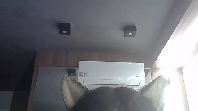 Chat +18 de SkinnyKitten ao vivo