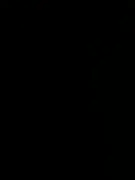 wessssft Show Webcam