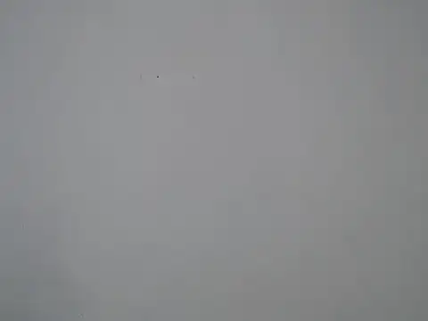 SpicyMackenzie22's Live XXX Chat