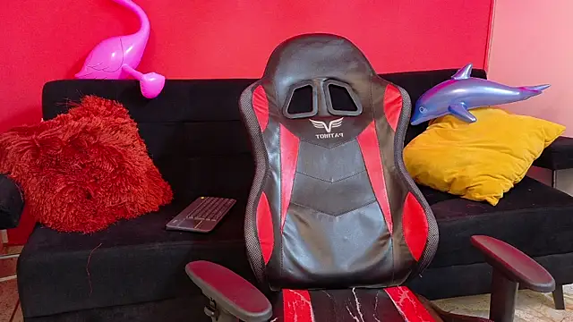 LoganSteel_n Webbikameraesitys