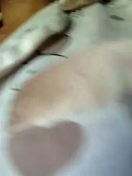 Congee-666's Live XXX Chat