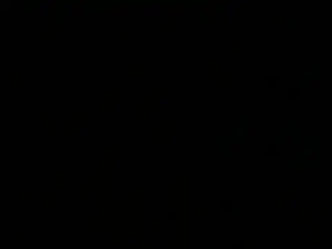 Show Webcam de Dambaby25