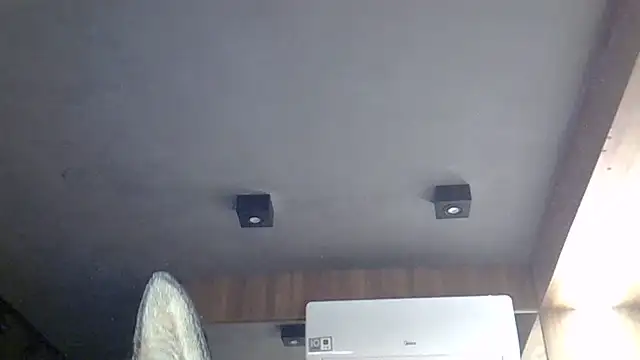 Chat +18 de SkinnyKitten ao vivo