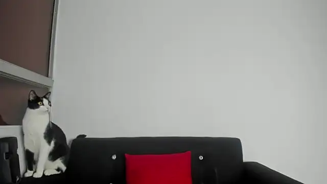 Onion_knight Live XXX Chat