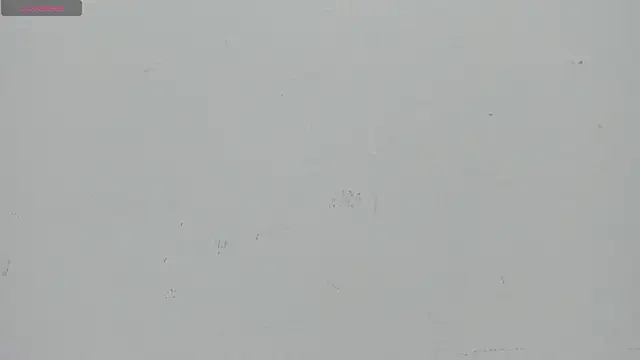 yeye_sweet_ 现场XXX聊天