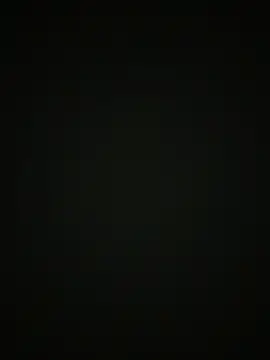 Show webcam de sansanlulu7