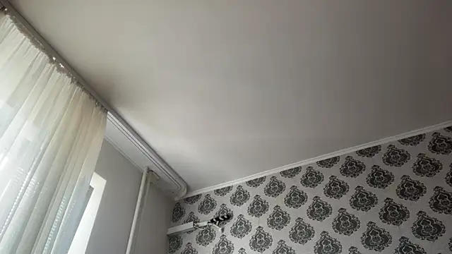 tomasdickpick Live XXX Chat