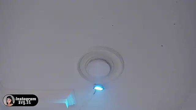 avy_st Live XXX-Chat