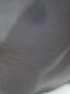 KumarSilencesex21 现场XXX聊天