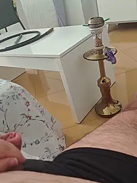 Show webcam de t-dog26