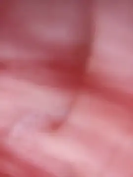 צ'אט XXX בשידור חי של Bel_Nell