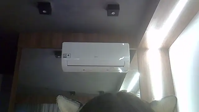 Chat +18 de SkinnyKitten ao vivo
