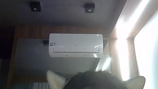 Show de SkinnyKitten na webcam