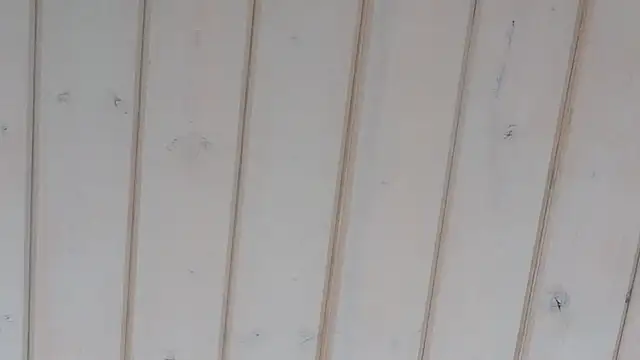 Živý XXX chat KayleenKucan
