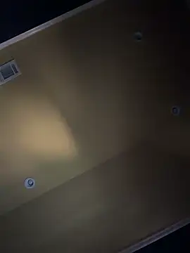 dingoding Webcam-Show