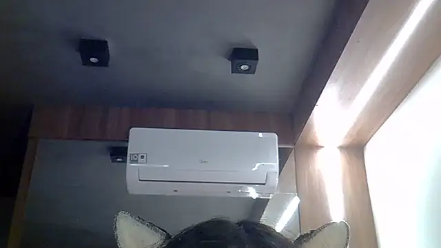 Chat XXX ao vivo de SkinnyKitten