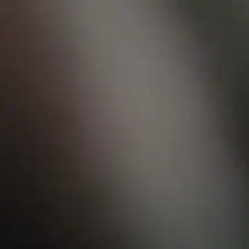 Zauberstab8 Pertunjukan Webcam