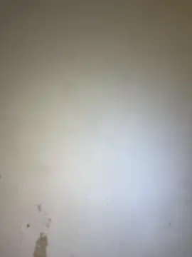 Chat +18 de Nia_lobo ao vivo