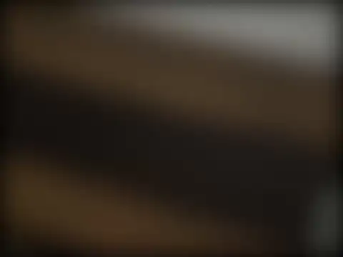 adelaide2026 라이브 XXX 채팅
